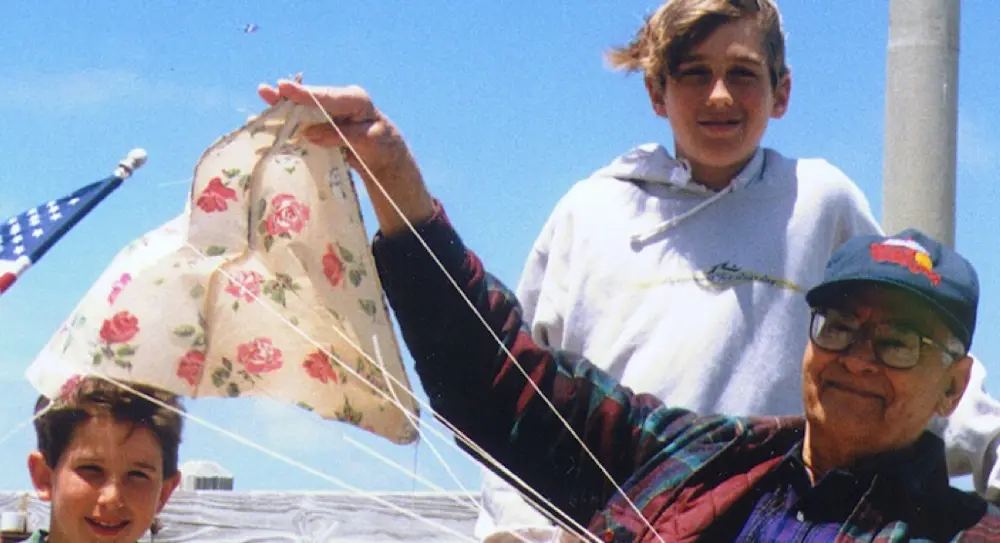 One of the two models of the kitchen curtain kite.